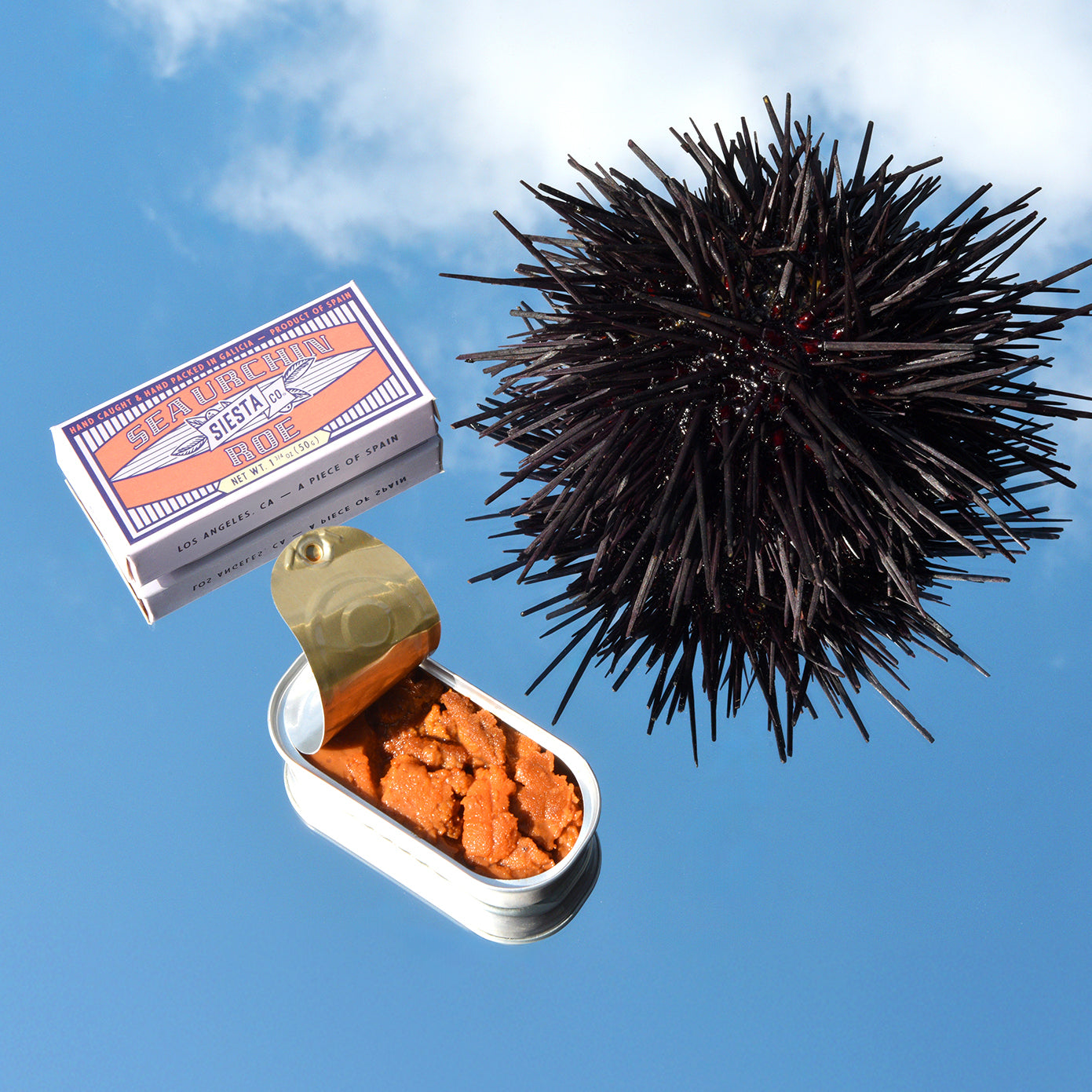 Sea Urchin Roe